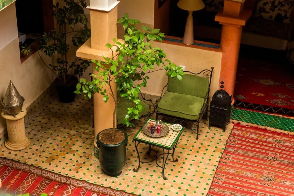 Terrace, Riad Errabii, Marrakech
