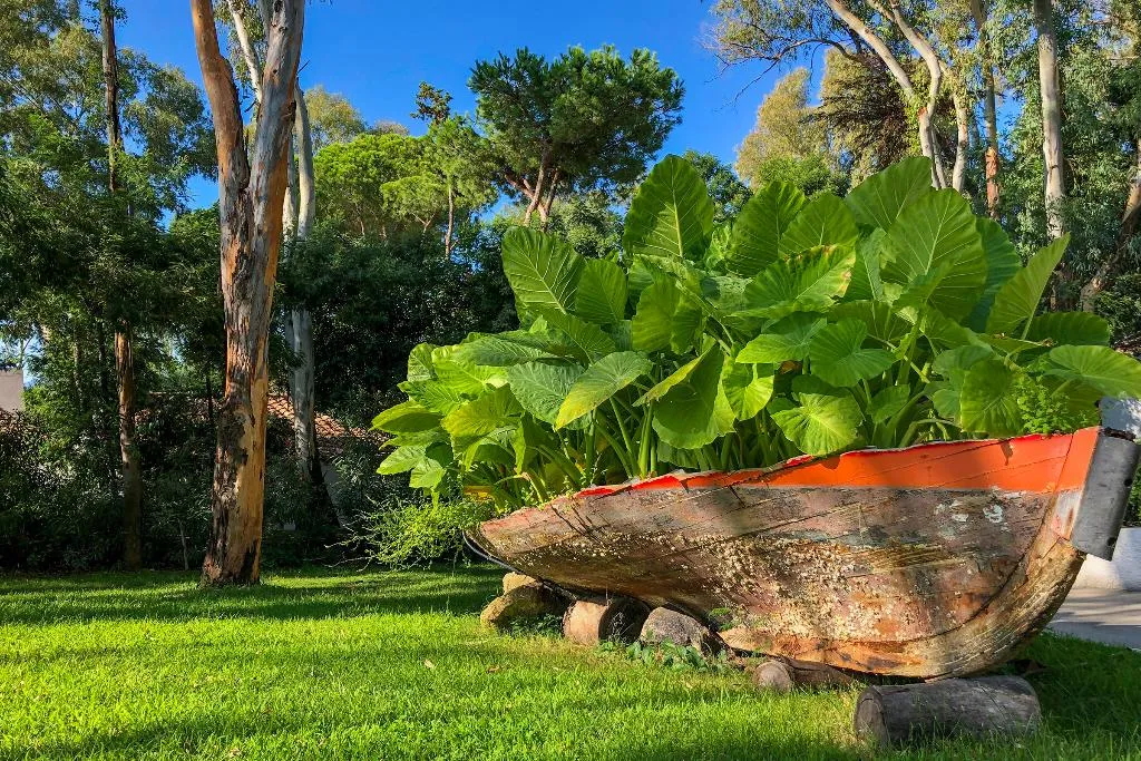 General view, Arbatax Park Resort - Cottage by Falkensteiner, Cagliari