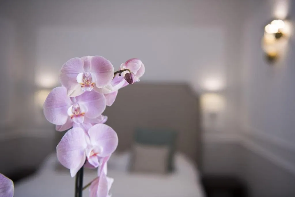 Room, La Bambagina, Naples