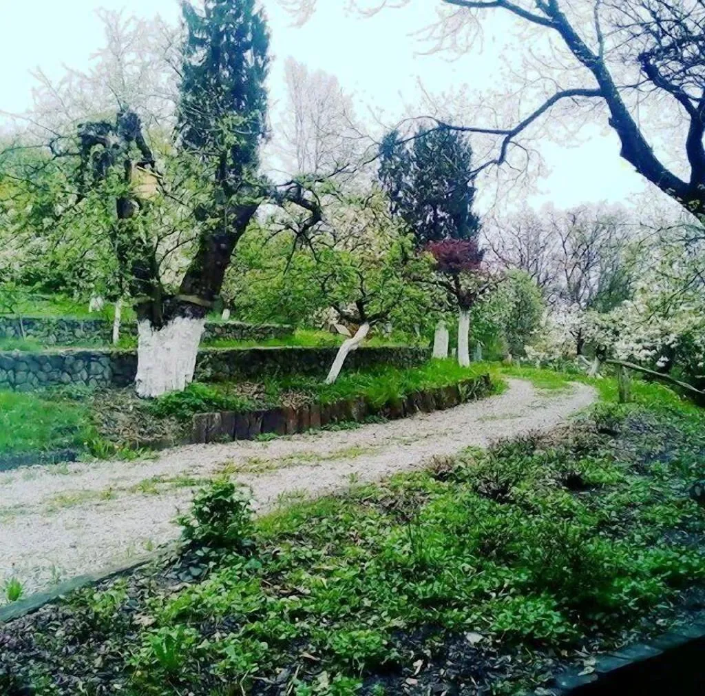 General view, Ekosamotnia Eco Dream Pension, Krakow