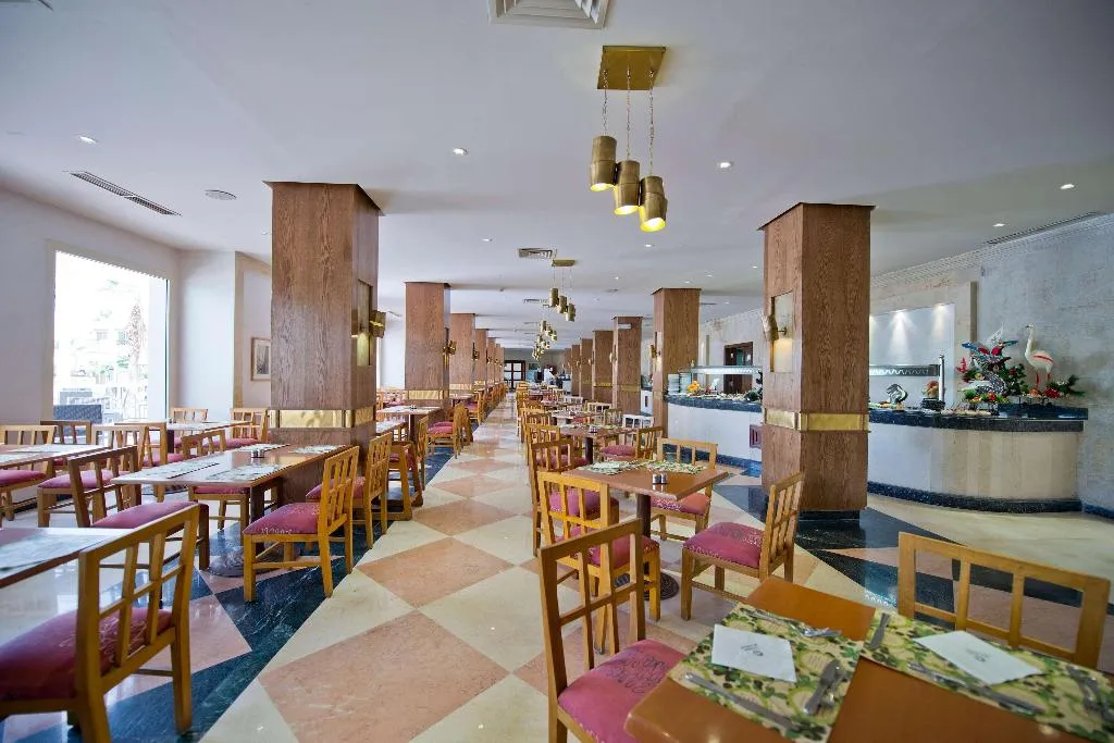 Bar, Amphoras Aqua, Red Sea Riviera