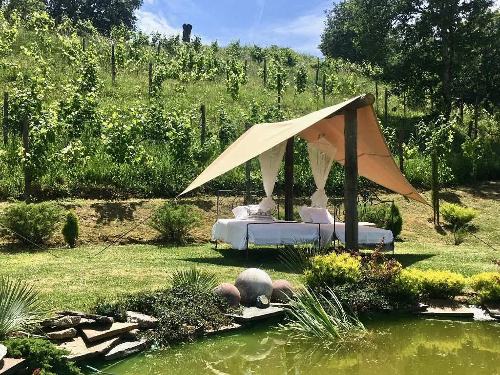 General view, Carmo's Boutique Hotel, Porto
