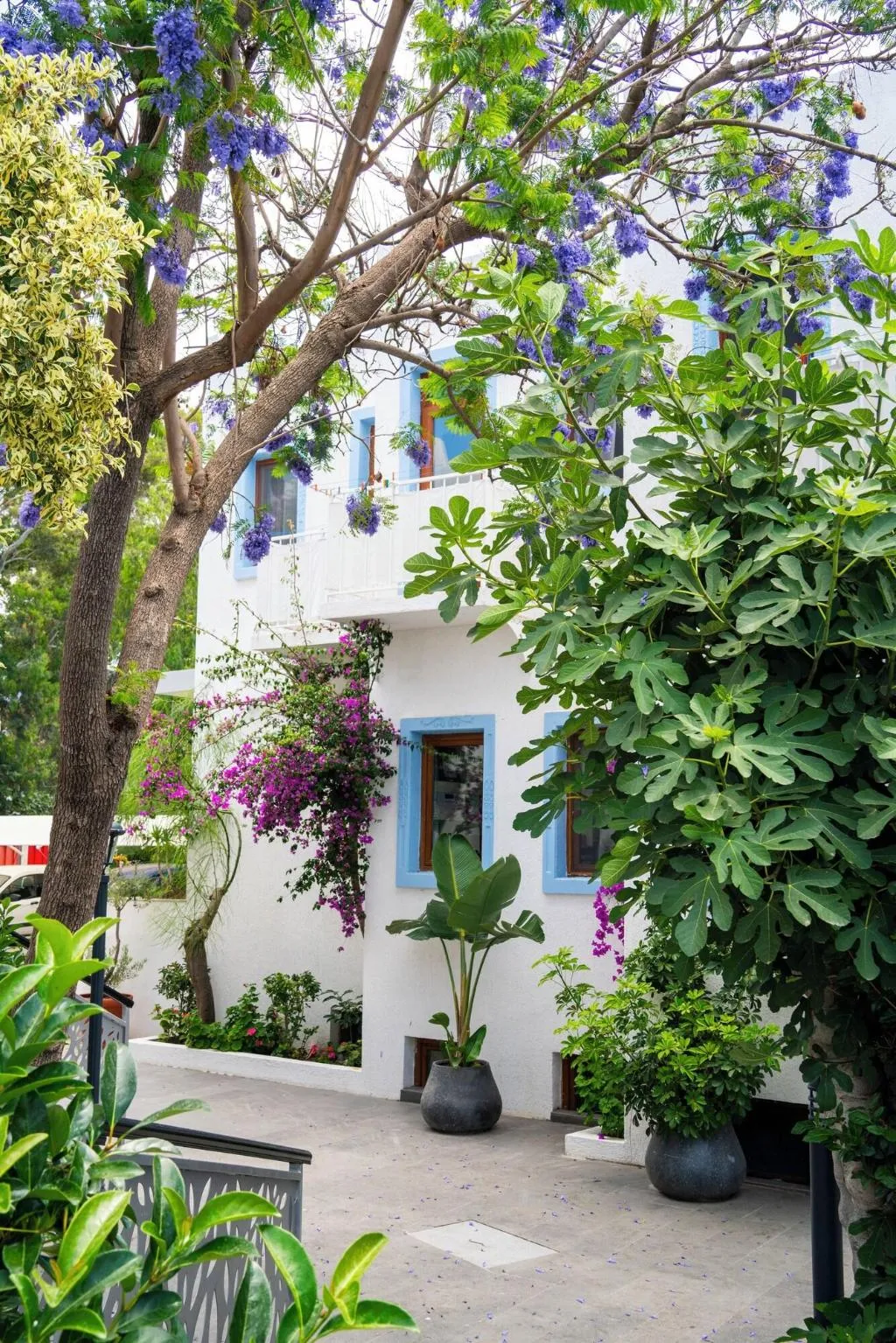 General view, Manuela Hotel, Bodrum