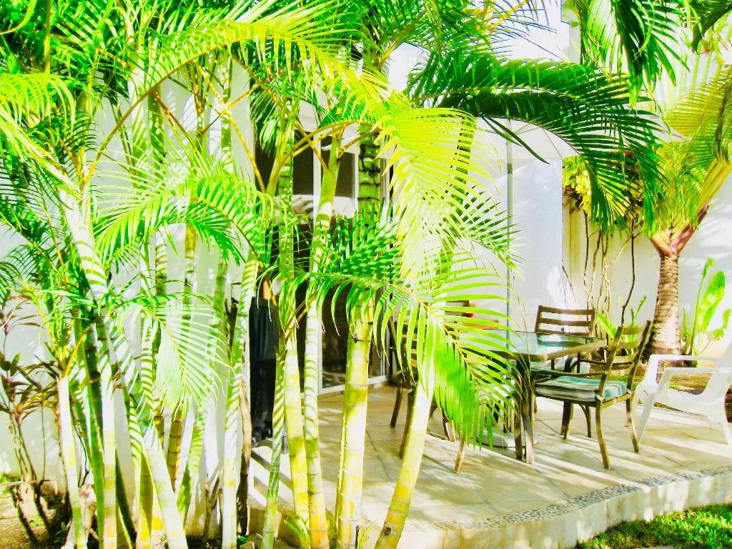 VILLA STANDARD Room, Dolce Vita Caribe B&B, Playa Del Carmen