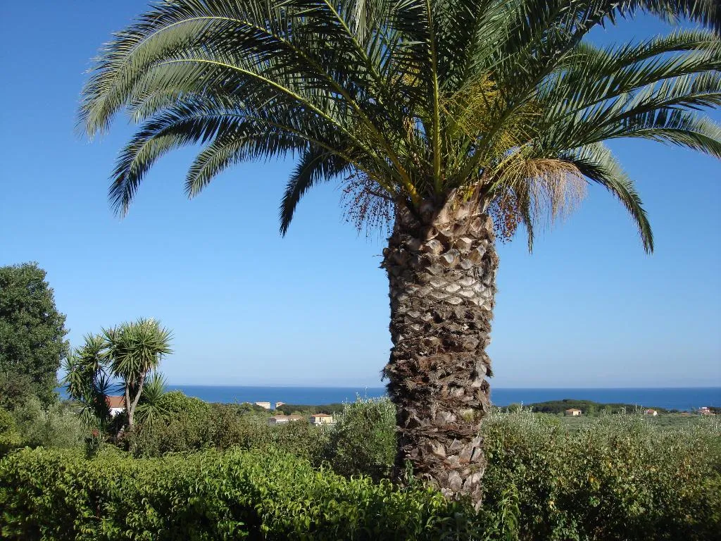General view, Villa Kapnisi, Zante