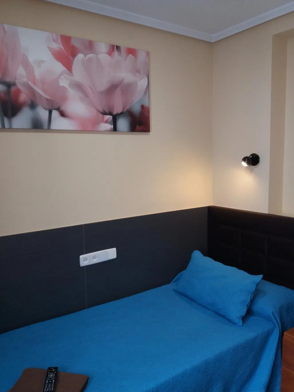 SINGLE WITH SHARED BATHROOM Room, Hostal Numancia, Madrid