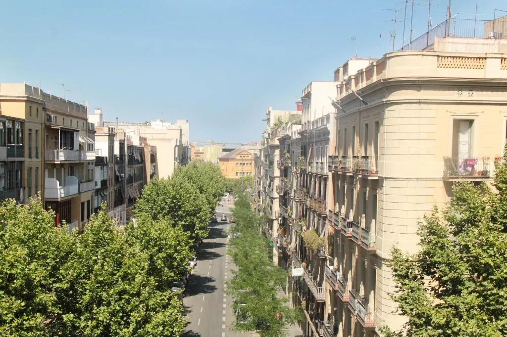 Room, Som Nit Triomf, Barcelona