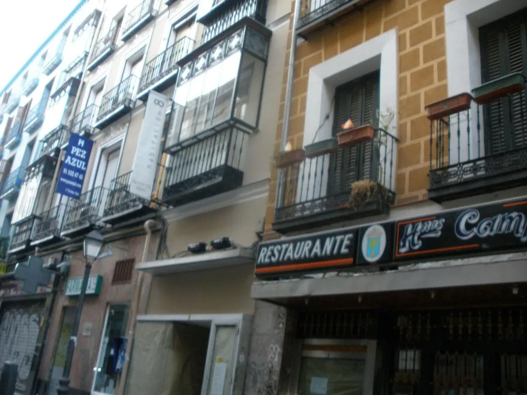 General view, Hostal Del Pez Azul, Madrid