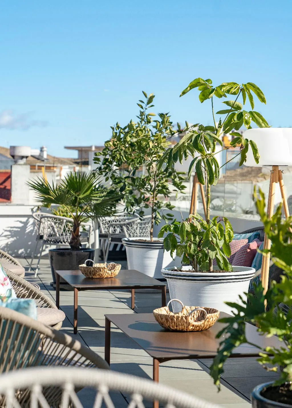 Terrace, Vincci Molviedro, Seville