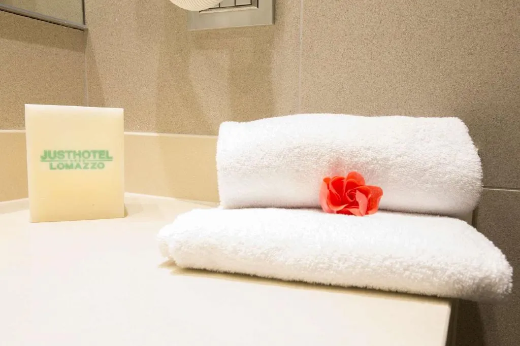 DOUBLE SINGLE USE DELUXE Room, Just Hotel Lomazzo Fiera, Milan