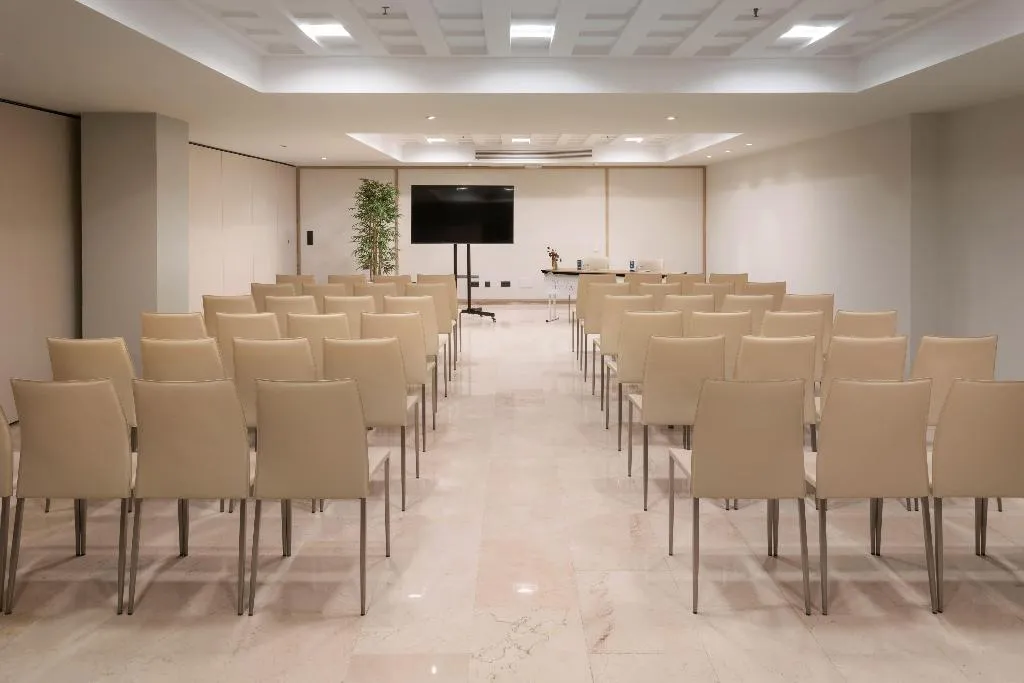 Conferences, Melia Sevilla, Seville