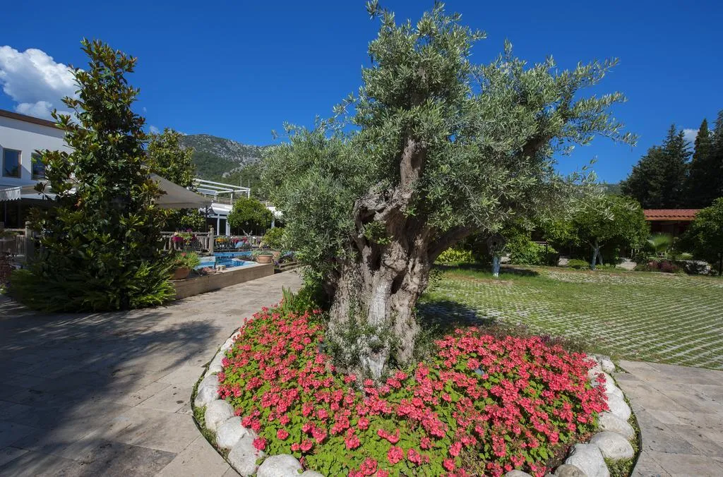 General view, Kimera Hotel, Antalya