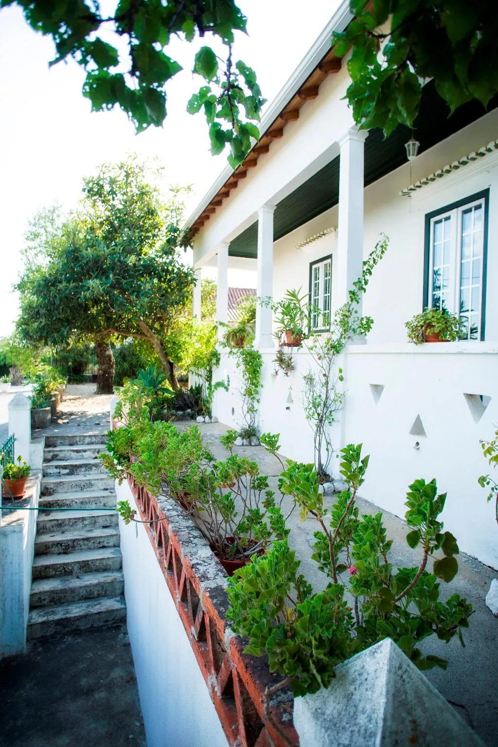 Terrace, Casa das Rendufas, Lisbon