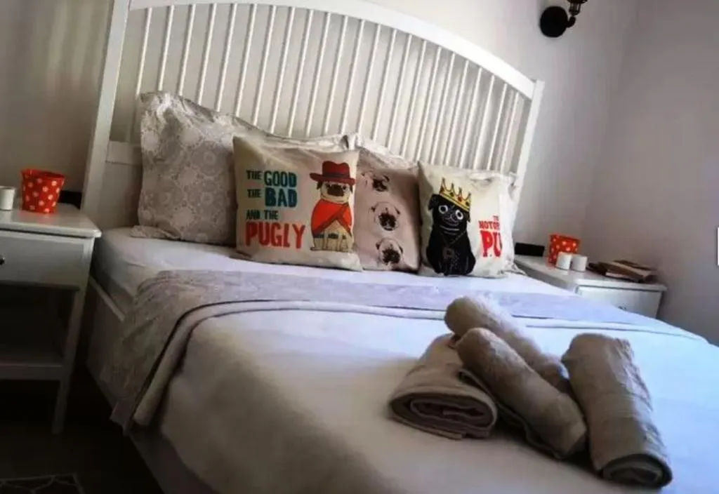 Room, Pug Rooms, Izmir