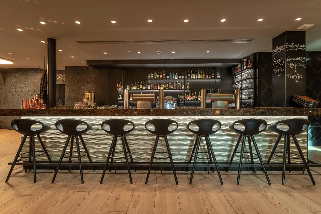 Bar, Grauer Bär, Innsbruck