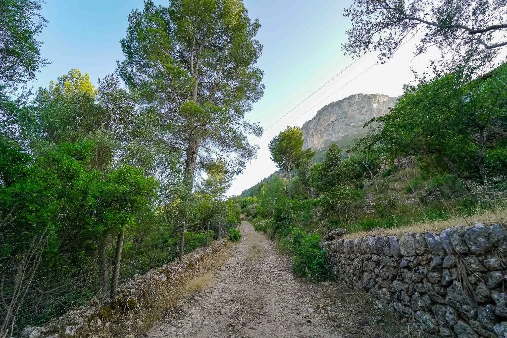 Sports and Entertainment, Hotel Rural S'Olivaret, Majorca