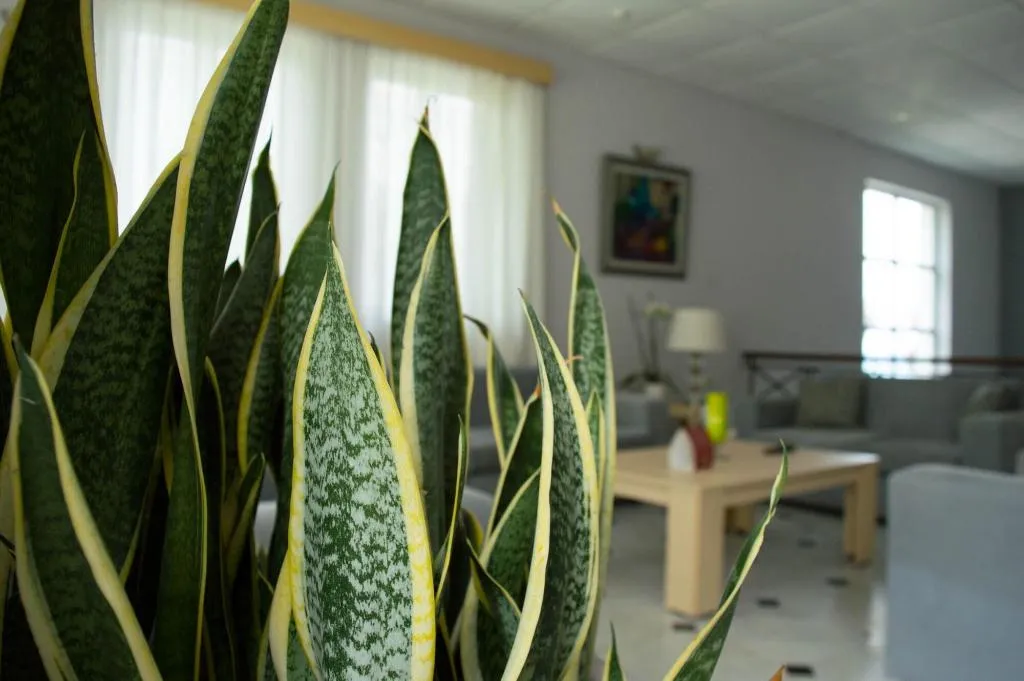 Lobby, Paradise Beach Hotel, Zante
