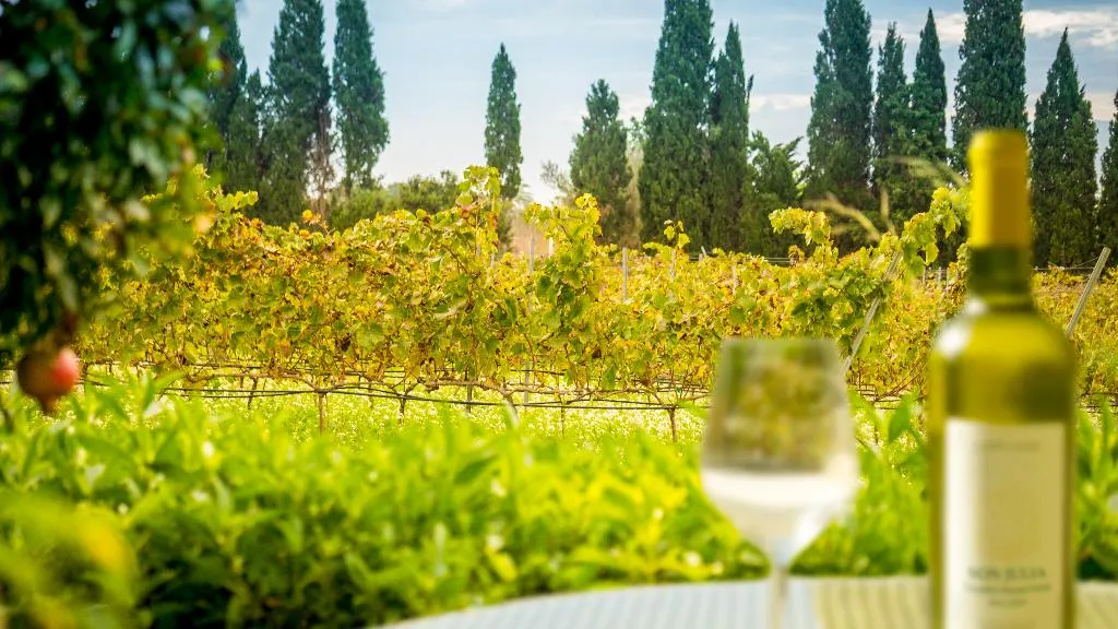 Terrace, Son Julia Country House Hotel and Sp, Majorca