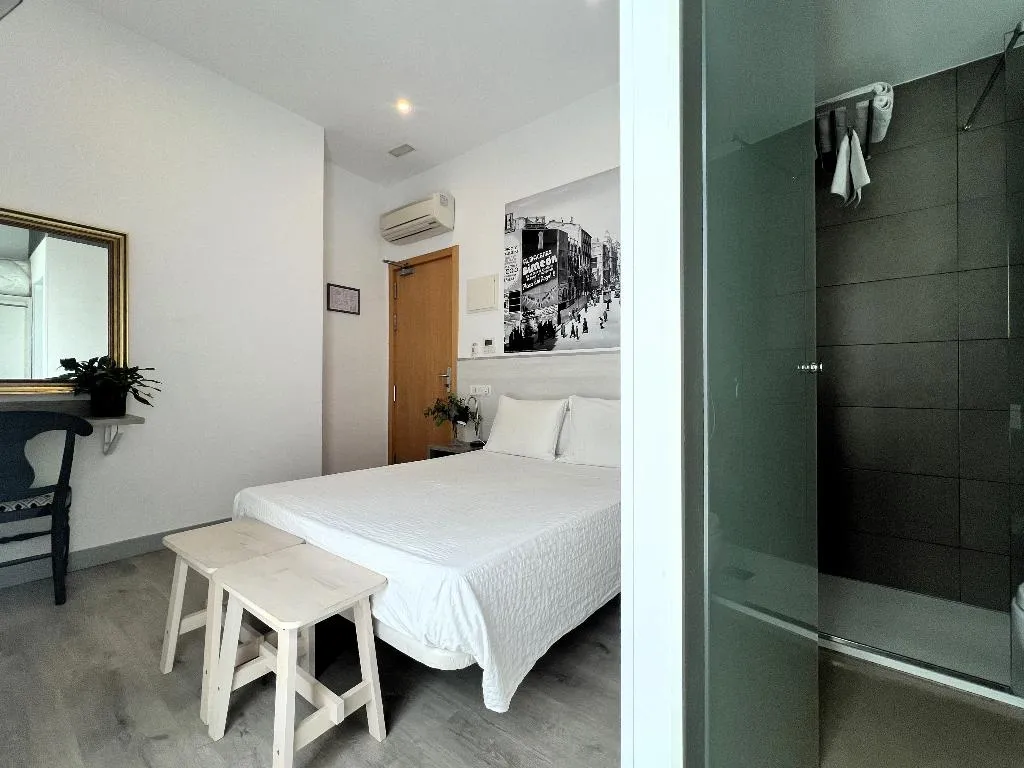 DOUBLE STANDARD Room, San Lorenzo, Madrid