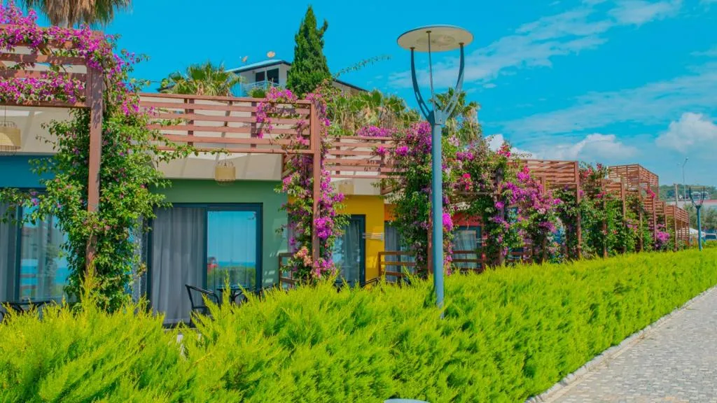 DOUBLE SINGLE USE STANDARD Room, Feniks Hotel Alanya Adult Only +12, Antalya