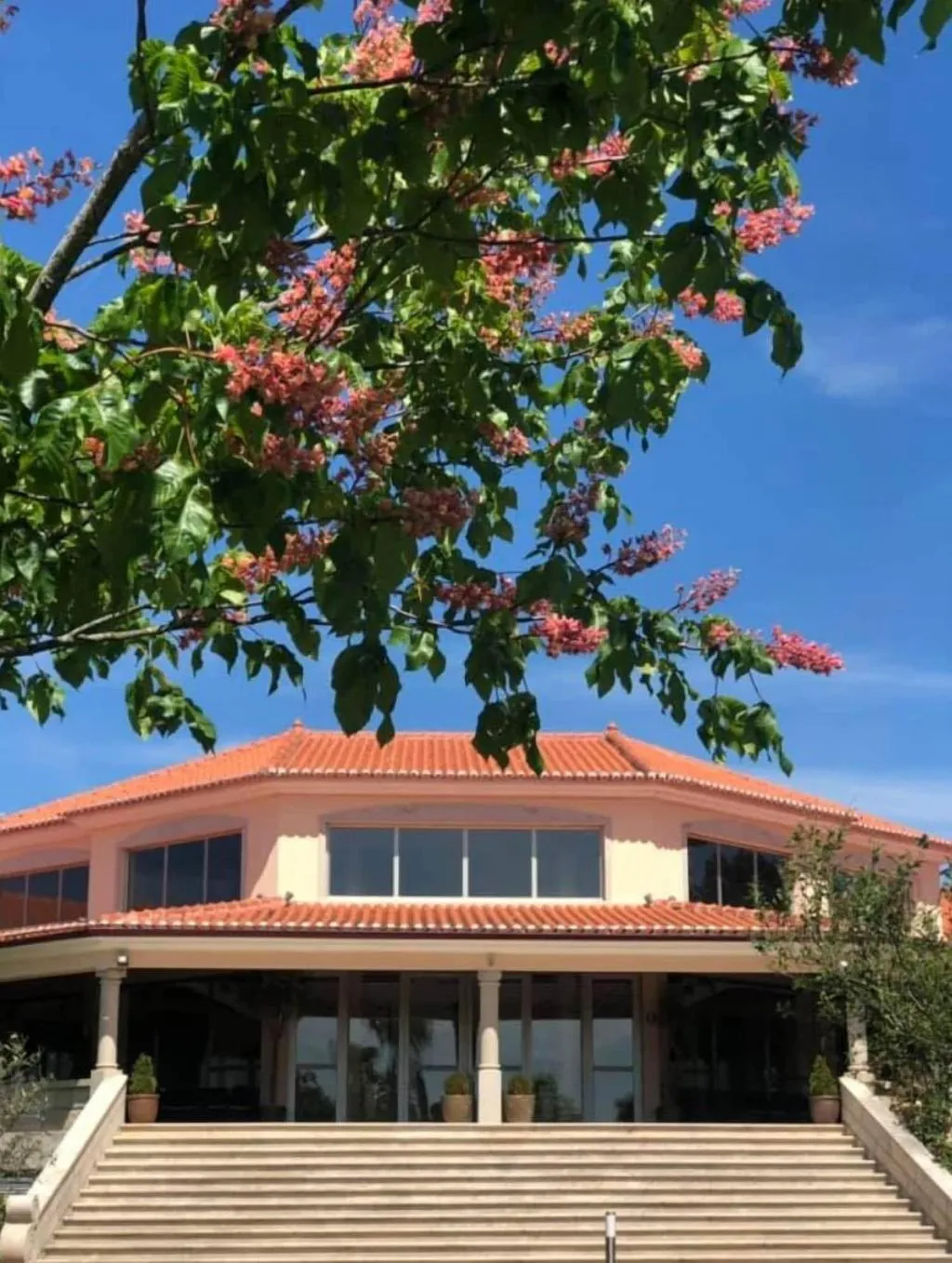 Conferences, Olive Nature Hotel & SPA - Quinta Valle de Passos, Porto