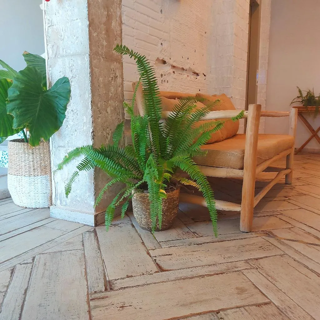 Lobby, Duna Hotel Boutique, Valencia