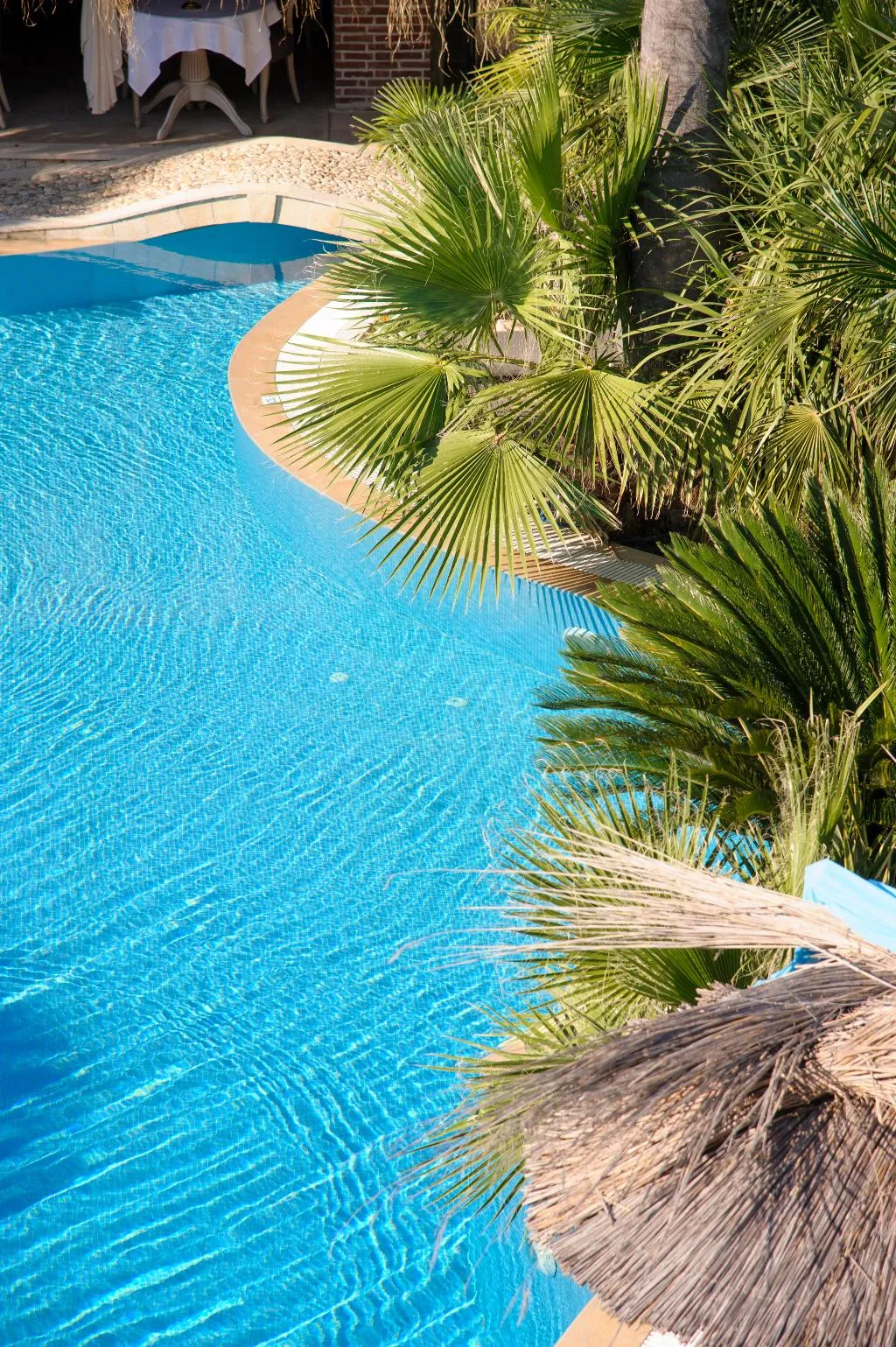 Pool, Achtis Hotel, Halkidiki