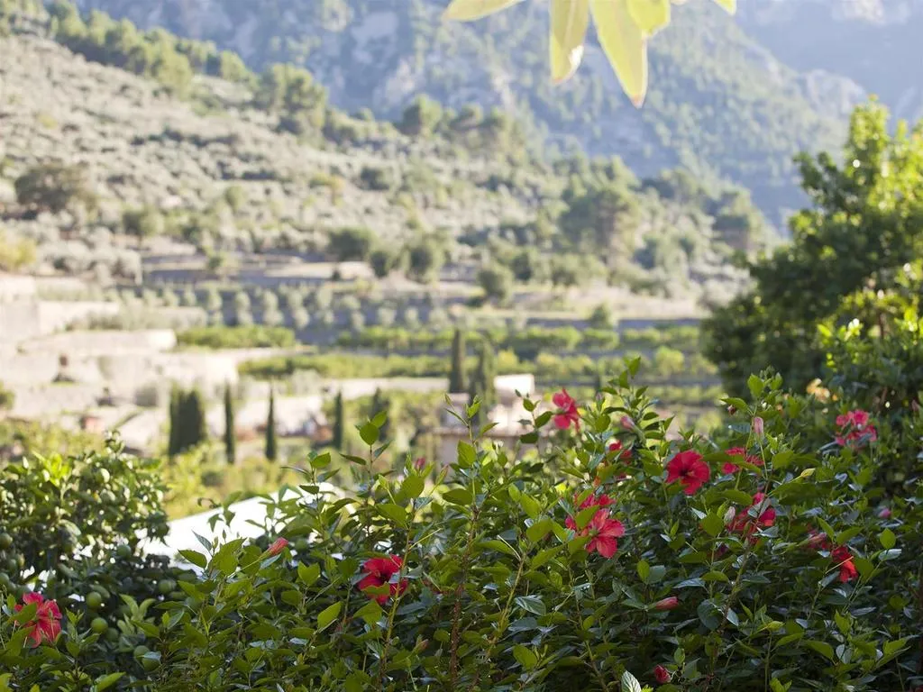 General view, Fornalutx Petit Hotel, Majorca