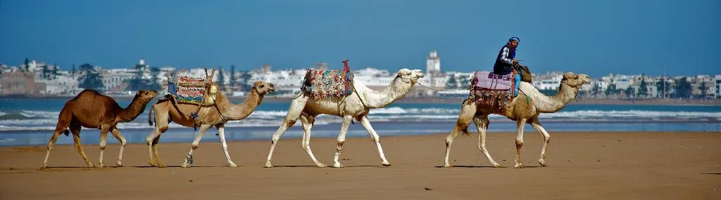 Sports and Entertainment, Dar L'Oussia, Essaouira