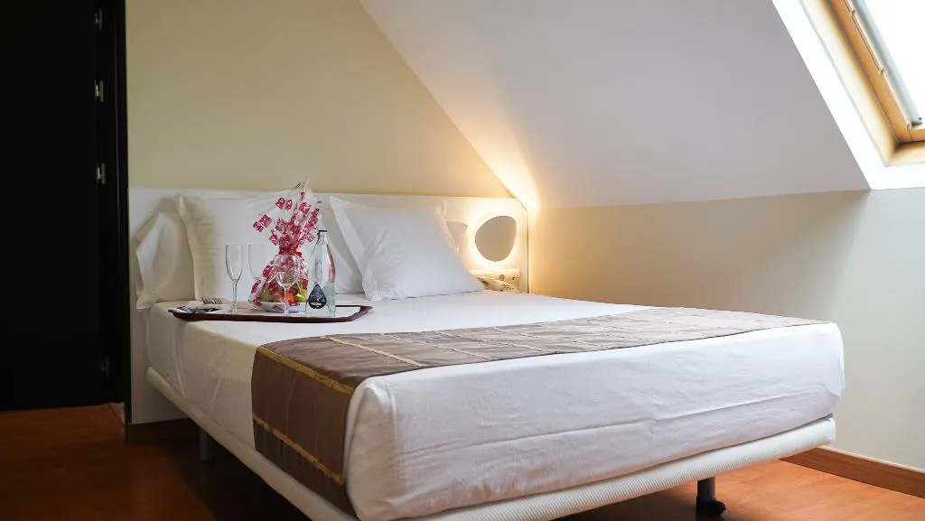 DOUBLE SINGLE USE ECONOMY Room, Vertice Sevilla, Seville