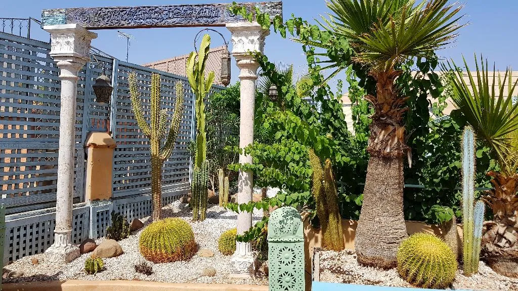 Terrace, Riad Armelle, Marrakech