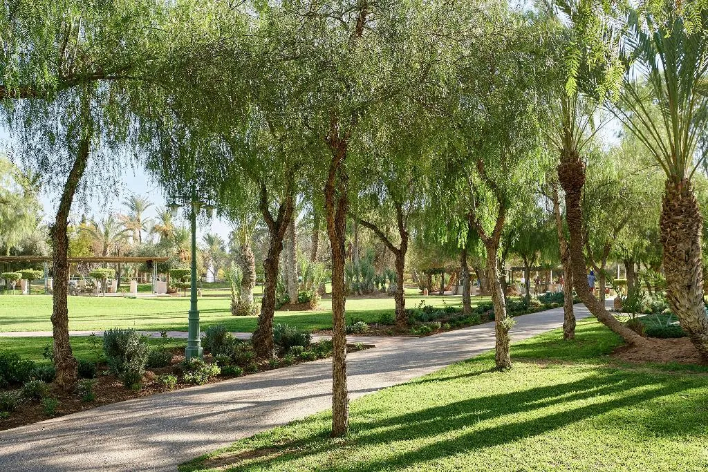 Sports and Entertainment, Iberostar Waves Club Palmeraie Marrakech, Marrakech