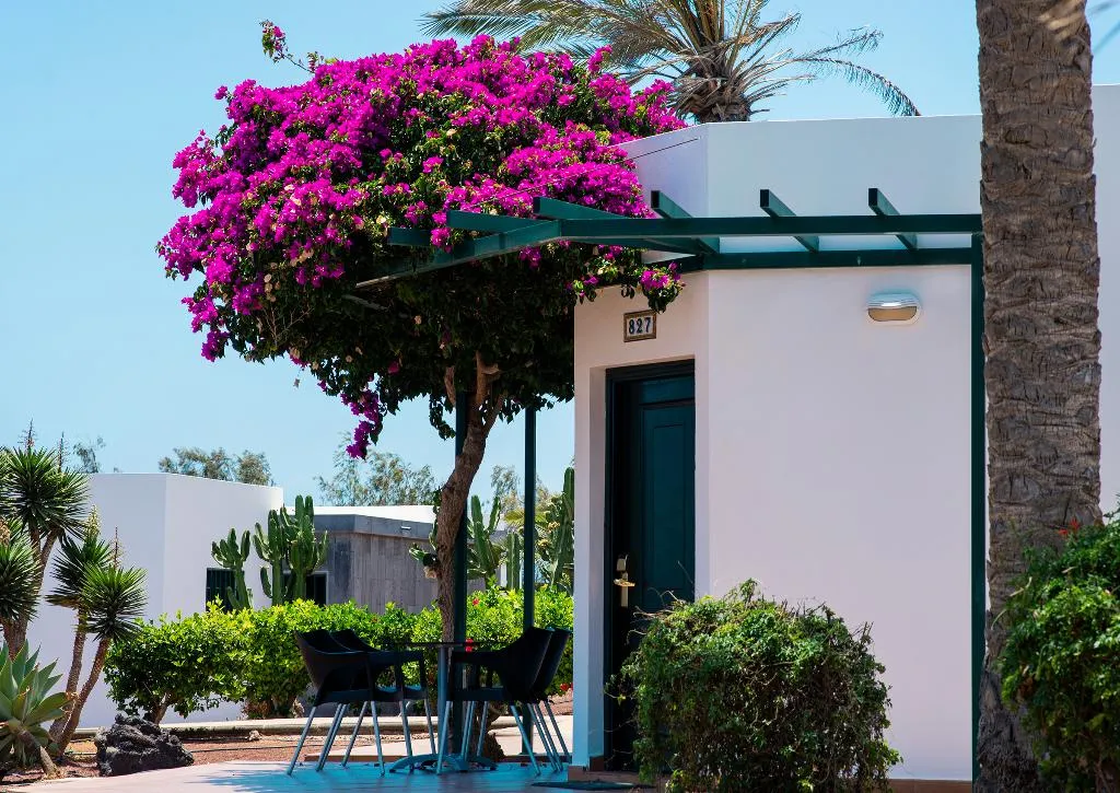 APARTMENT CAPACITY 3 Room, HL Club Playa Blanca, Lanzarote