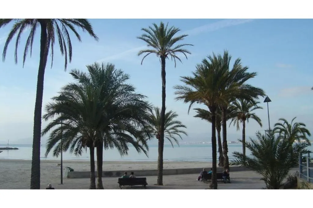 Beach, BLUESEA Mediodia, Majorca