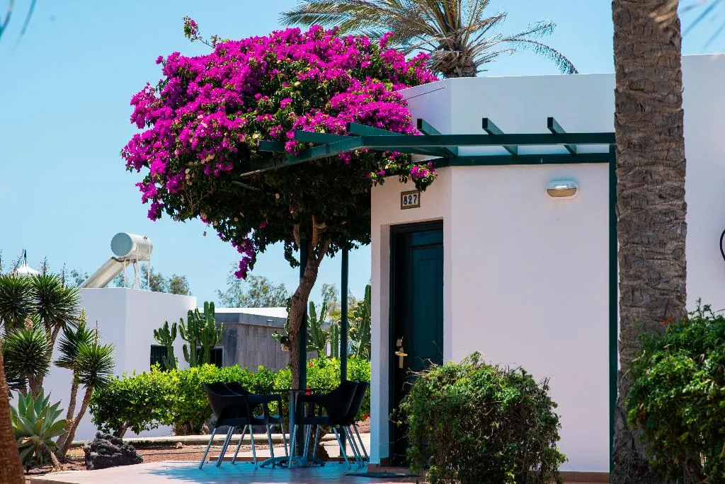 APARTMENT CAPACITY 4 Room, HL Club Playa Blanca, Lanzarote