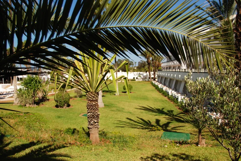 Terrace, Allegro Agadir, Agadir