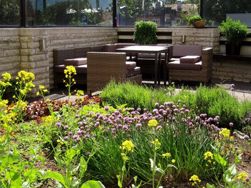 Terrace, Kreutzwald Hotel Tallinn, Tallinn
