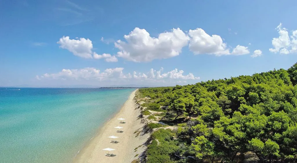 Beach, Sani Beach, Halkidiki