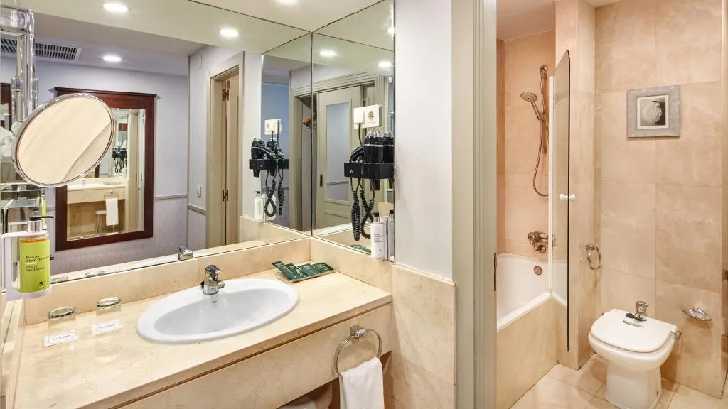 DOUBLE SINGLE USE BASIC Room, Sercotel Gran Hotel Conde Duque, Madrid