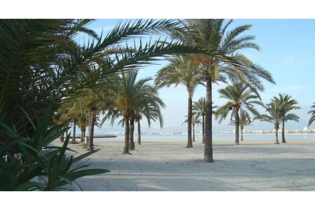 Beach, BLUESEA Mediodia, Majorca
