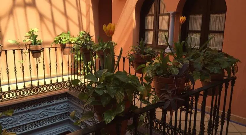 General view, Patio de la Alameda, Seville