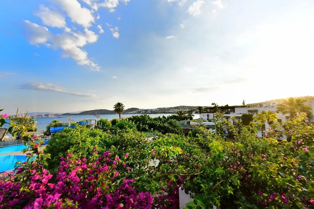Pool, Parkim Ayaz, Bodrum