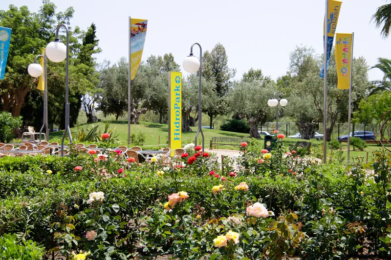 Terrace, Club Mac Alcudia Resort & Waterpark, Majorca