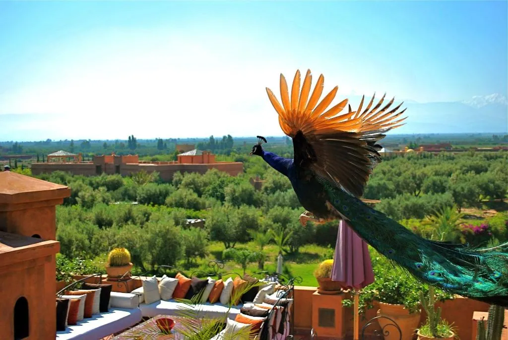 General view, Kasbah Al Mendili Private, Marrakech