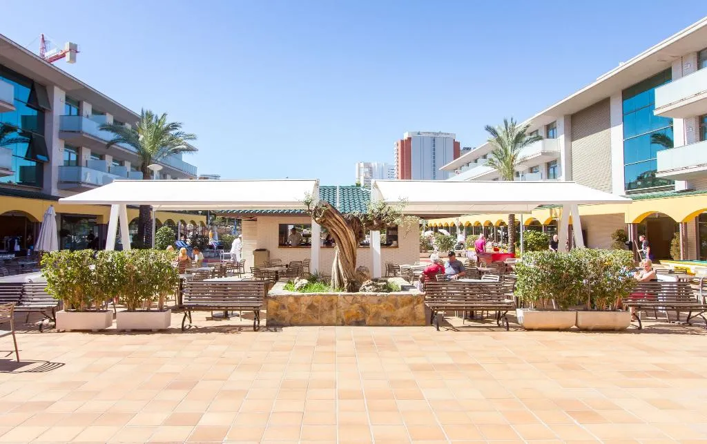 Terrace, Mediterraneo Hotel, Costa Blanca