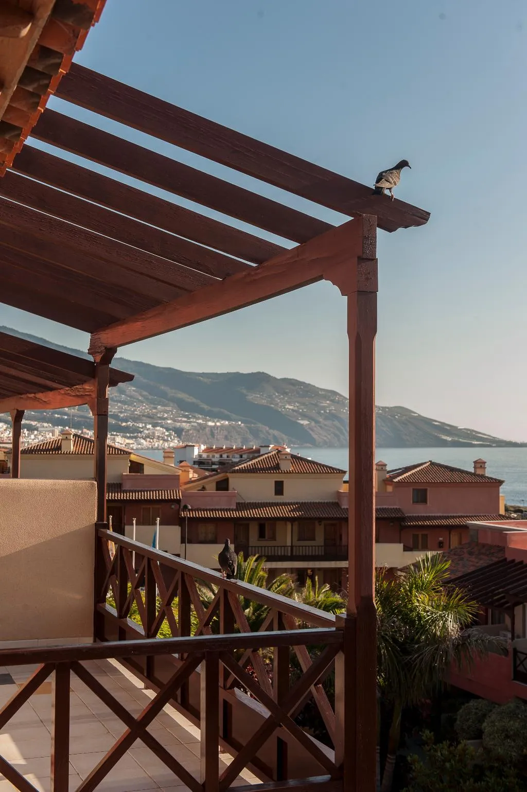 Terrace, El Cerrito, La Palma