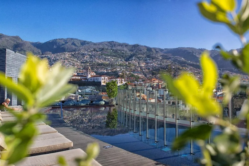 General view, The Vine, Madeira