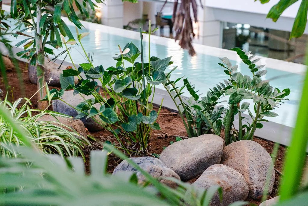 Lobby, Spring Hotel Vulcano, Tenerife