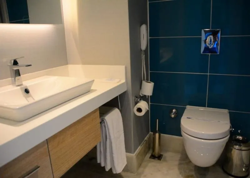 DOUBLE SINGLE USE DELUXE Room, Wind of Lara Hotel & Spa, Antalya