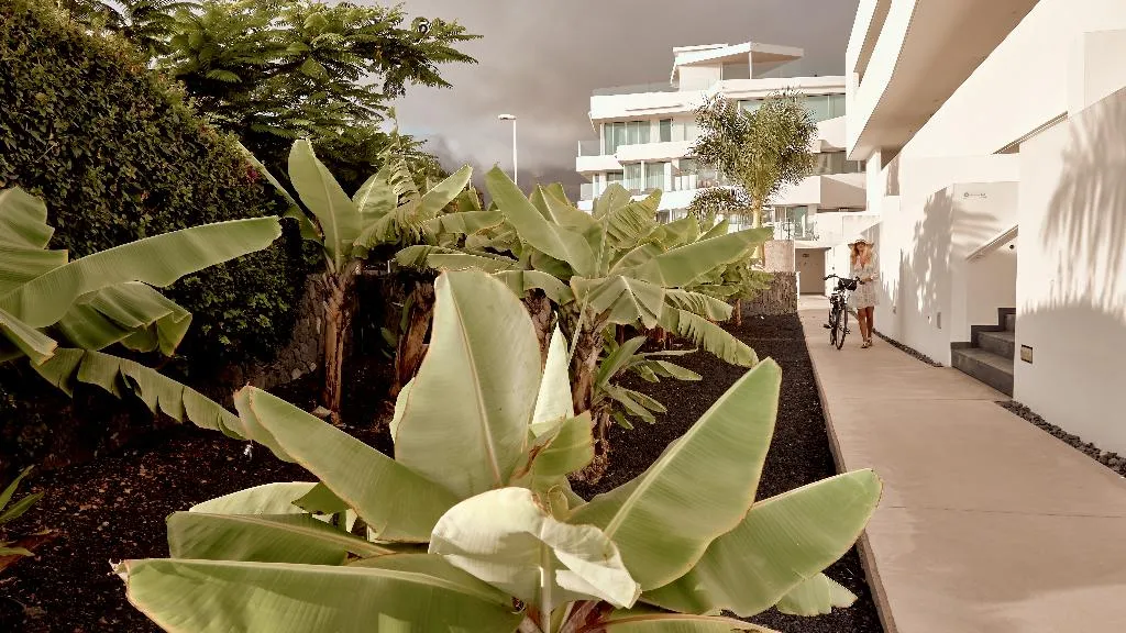 General view, Domes Baobab Suites, Tenerife